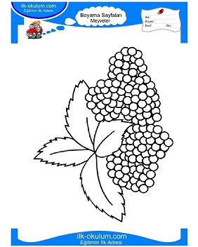 Çocuklar İçin Böğürtlen Boyama Sayfaları 